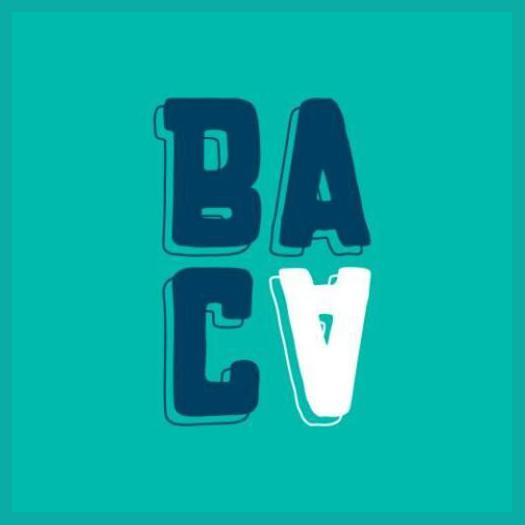 Bacamartes